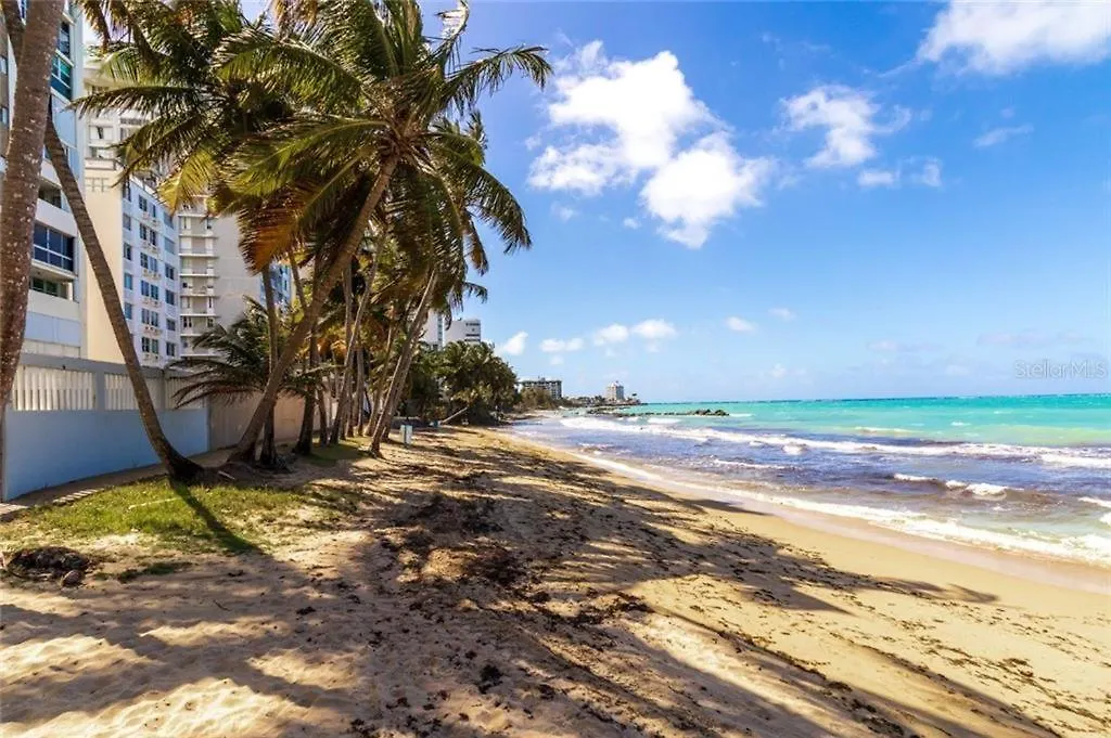 公寓 Modern & Cozy Studio In The Heart Of Isla Verde 圣胡安